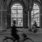 through the Rijksmuseum