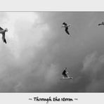 ~ Through the storm ~