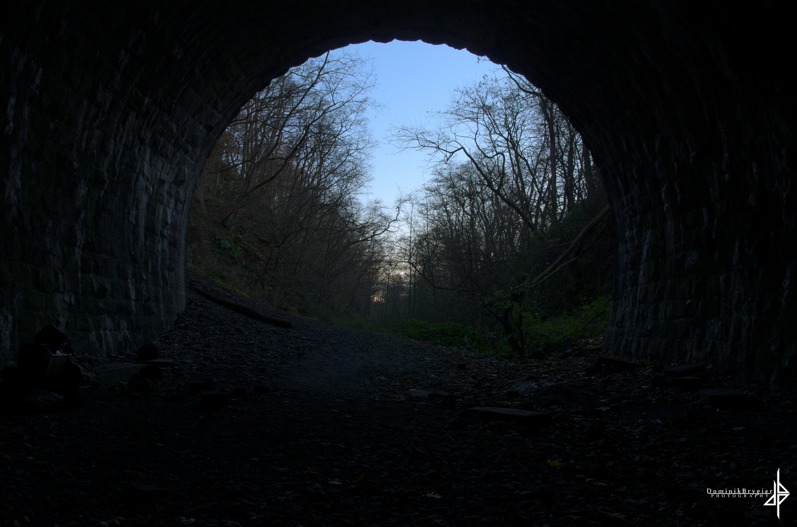 Through the tunnel