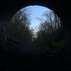 Through the tunnel