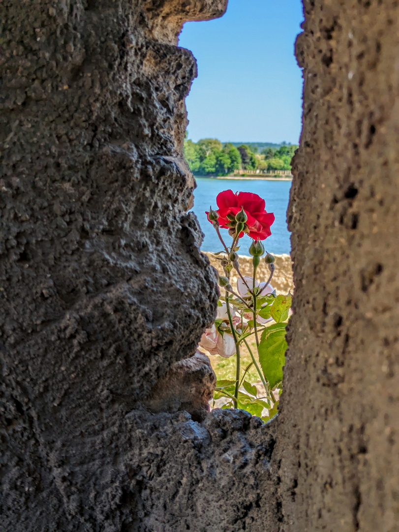 Through the Wall