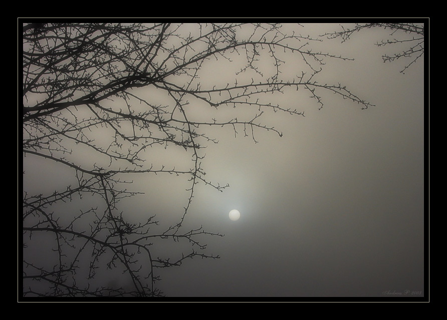 ...::: Through thick fog... :::...