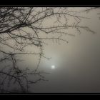 ...::: Through thick fog... :::...