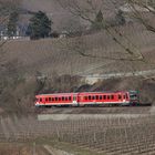 Through Winter Vineyards