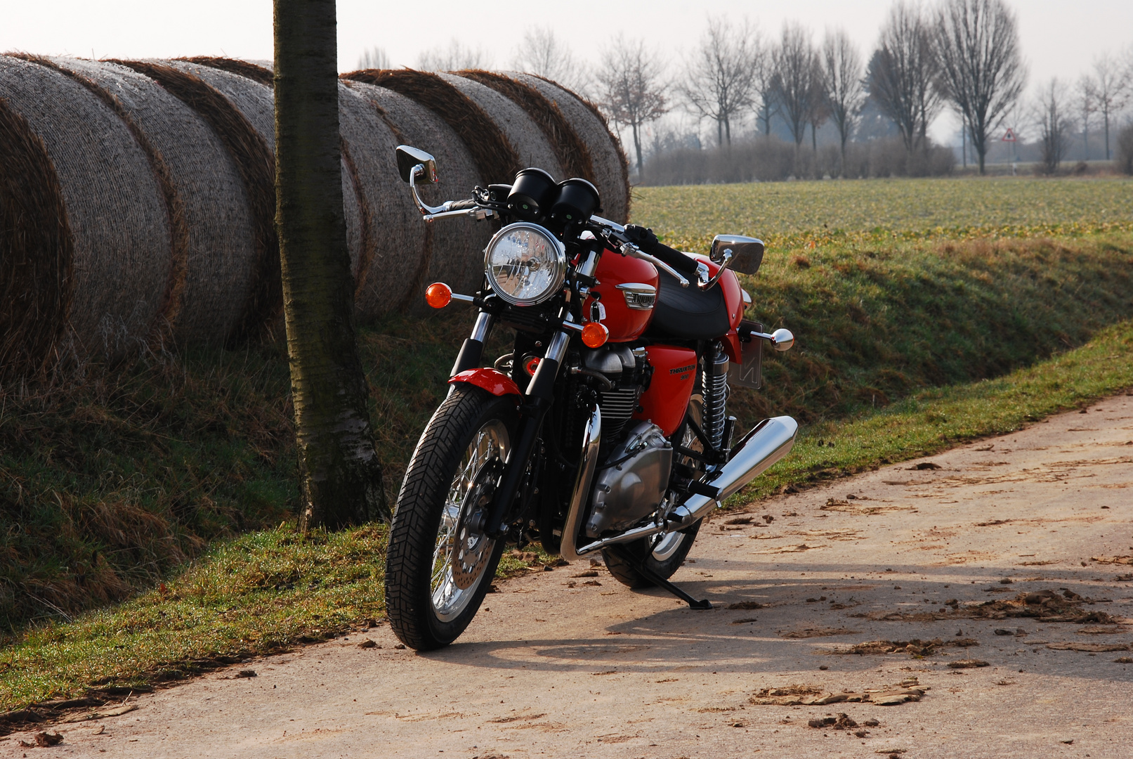 Thruxton in rot