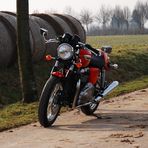 Thruxton in rot