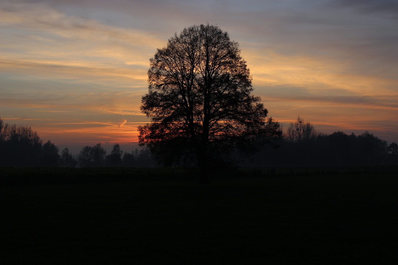 Thüler Feld