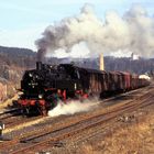 Thüringen am 20 März 1993