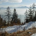 Thüringen - Winterlandschaft