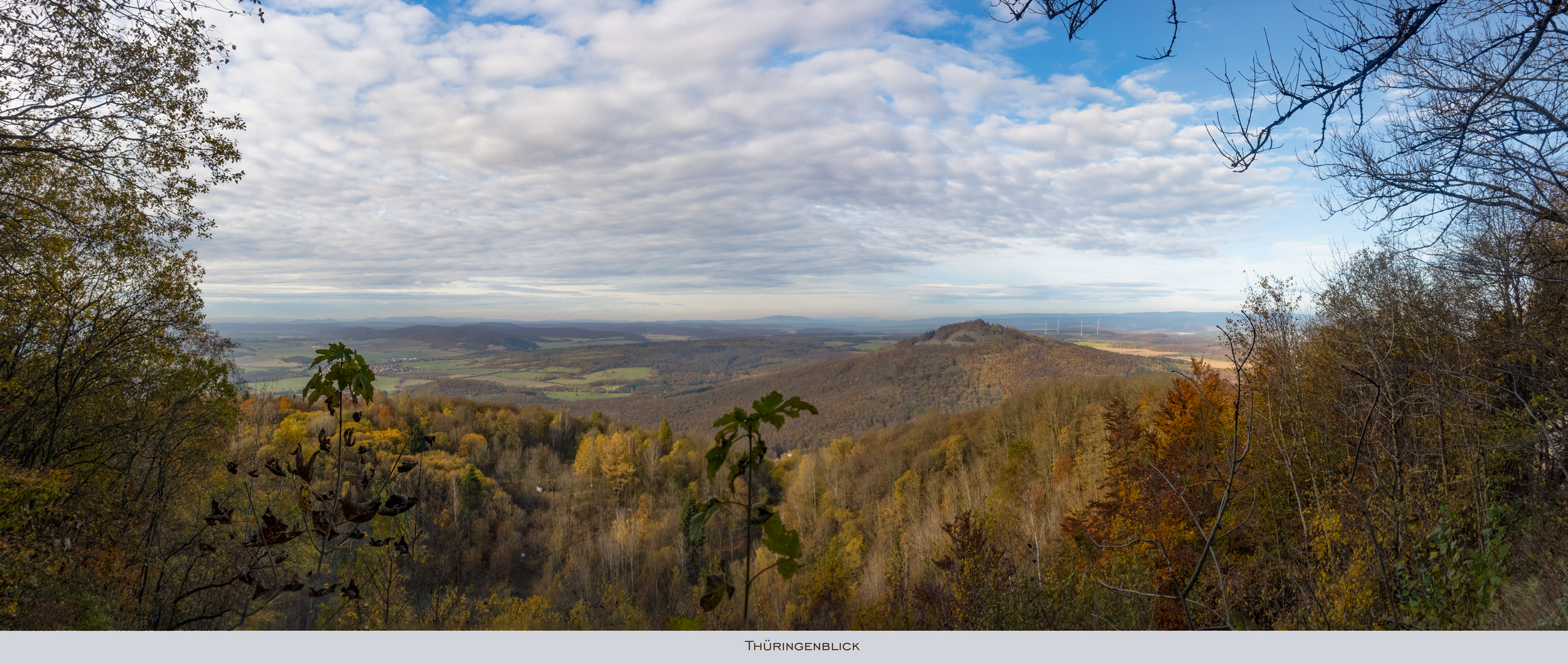 Thüringenblick