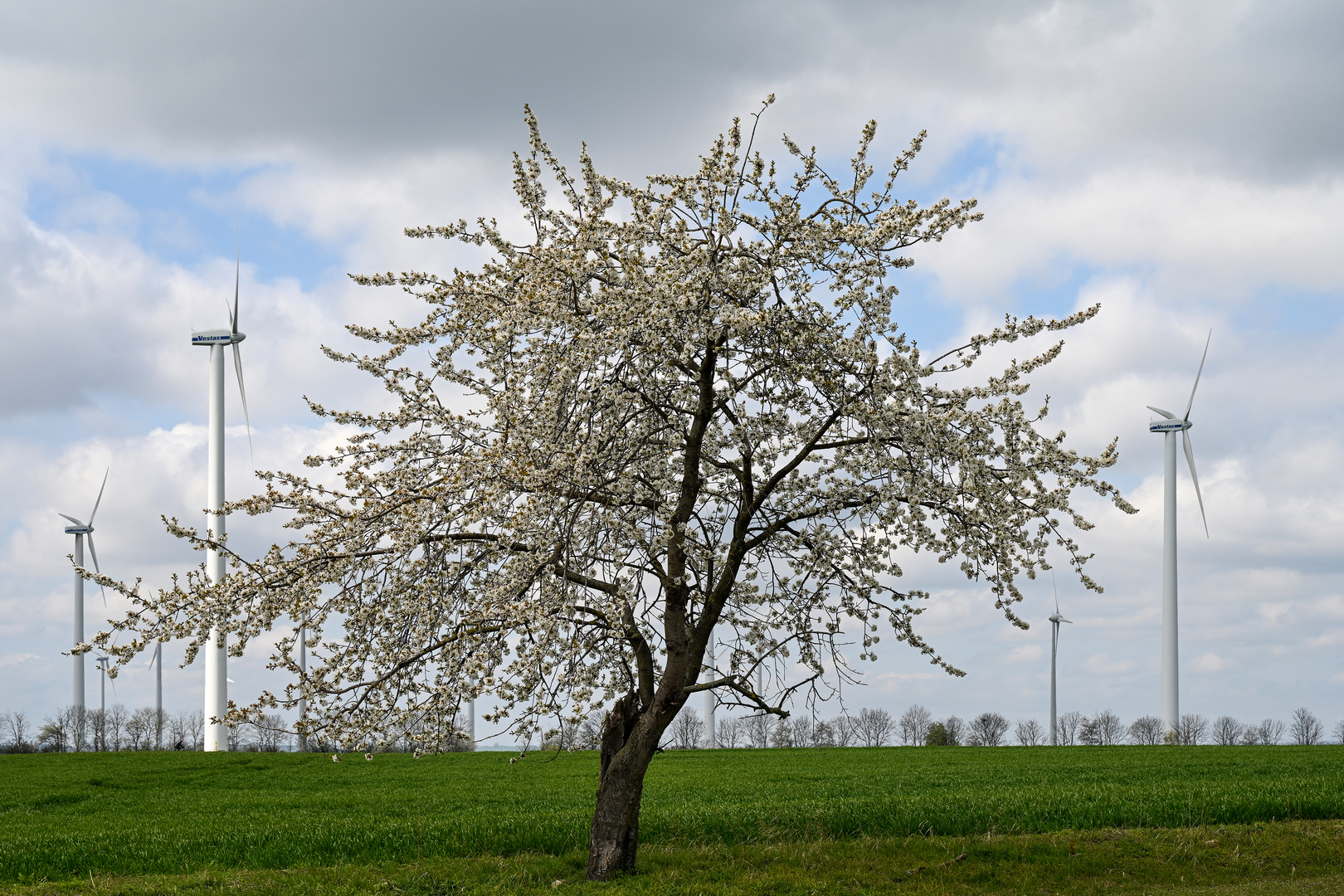 Thüringer Energie 16