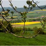 Thüringer Frühling