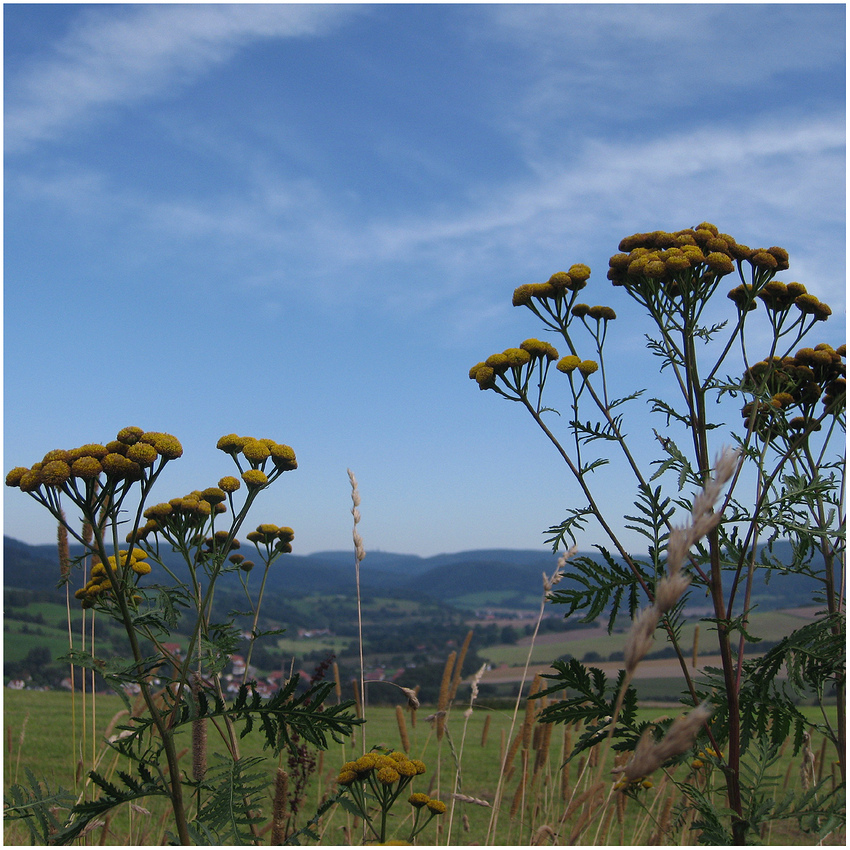 --- thüringer idylle ---