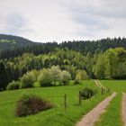 Thüringer Klimaweg Geraberg