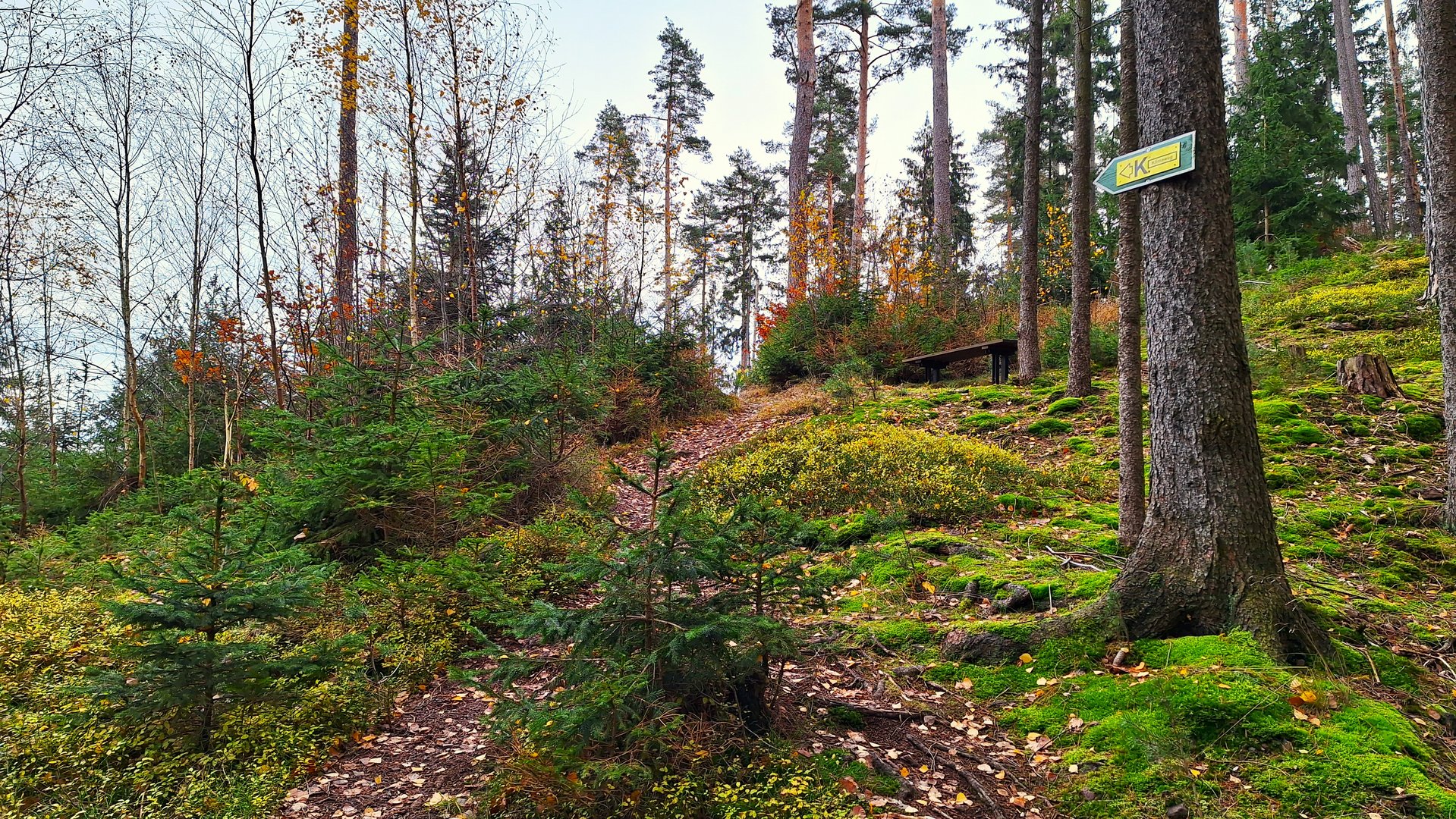 Thüringer Klimaweg im Herbst