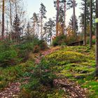 Thüringer Klimaweg im Herbst