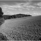 Thüringer Landschaft