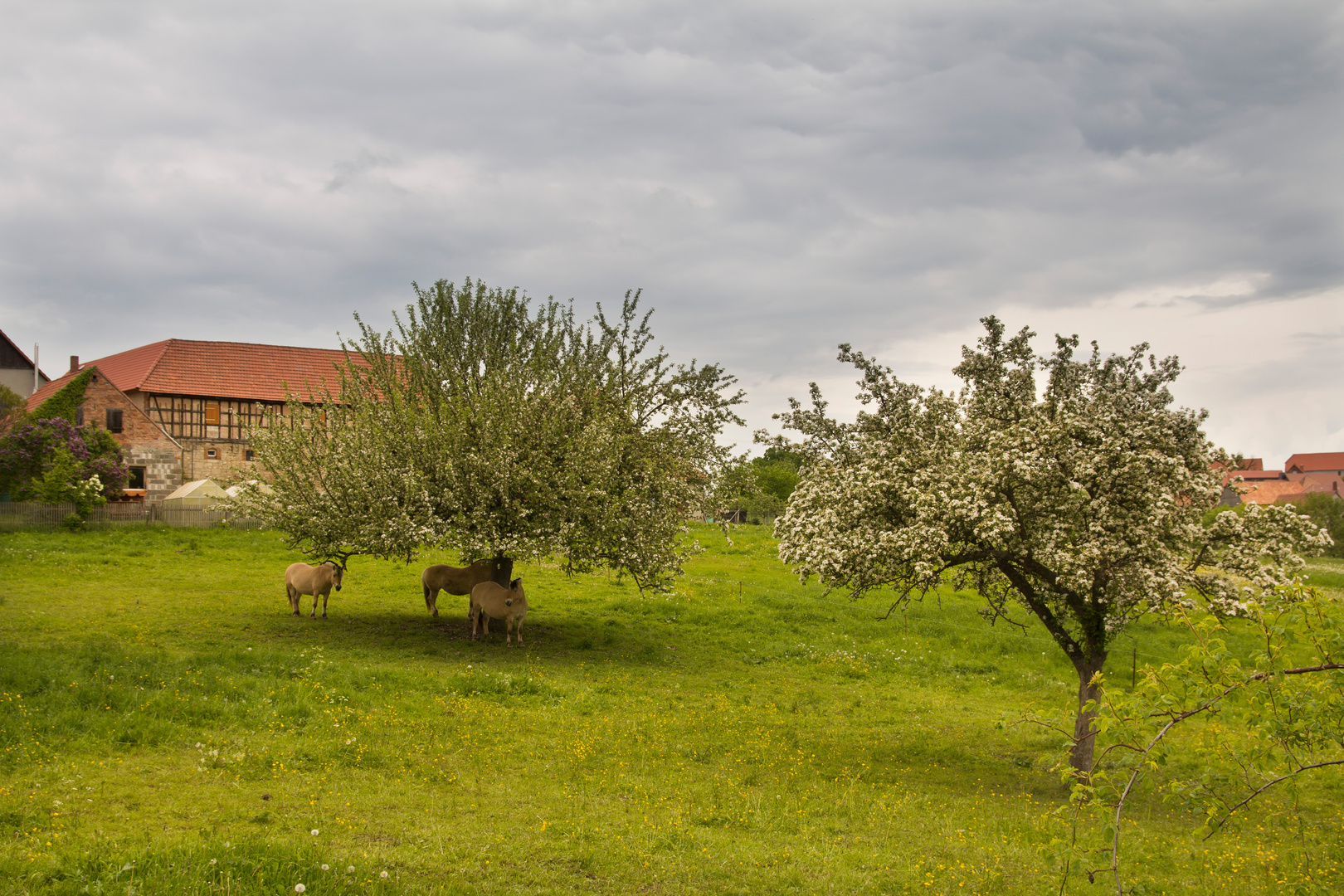 Thüringer Landschaft