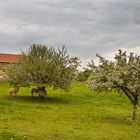 Thüringer Landschaft