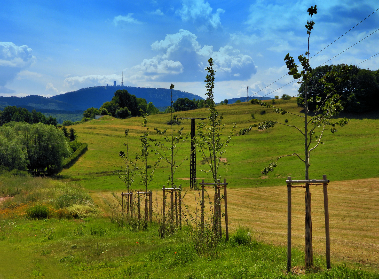 Thüringer Landschaften (02)