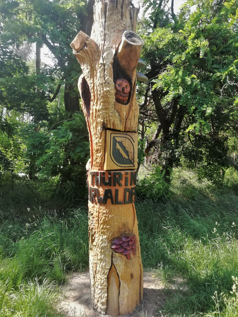 Thüringer Urwald