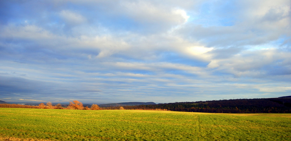 Thüringer Wald