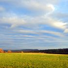 Thüringer Wald