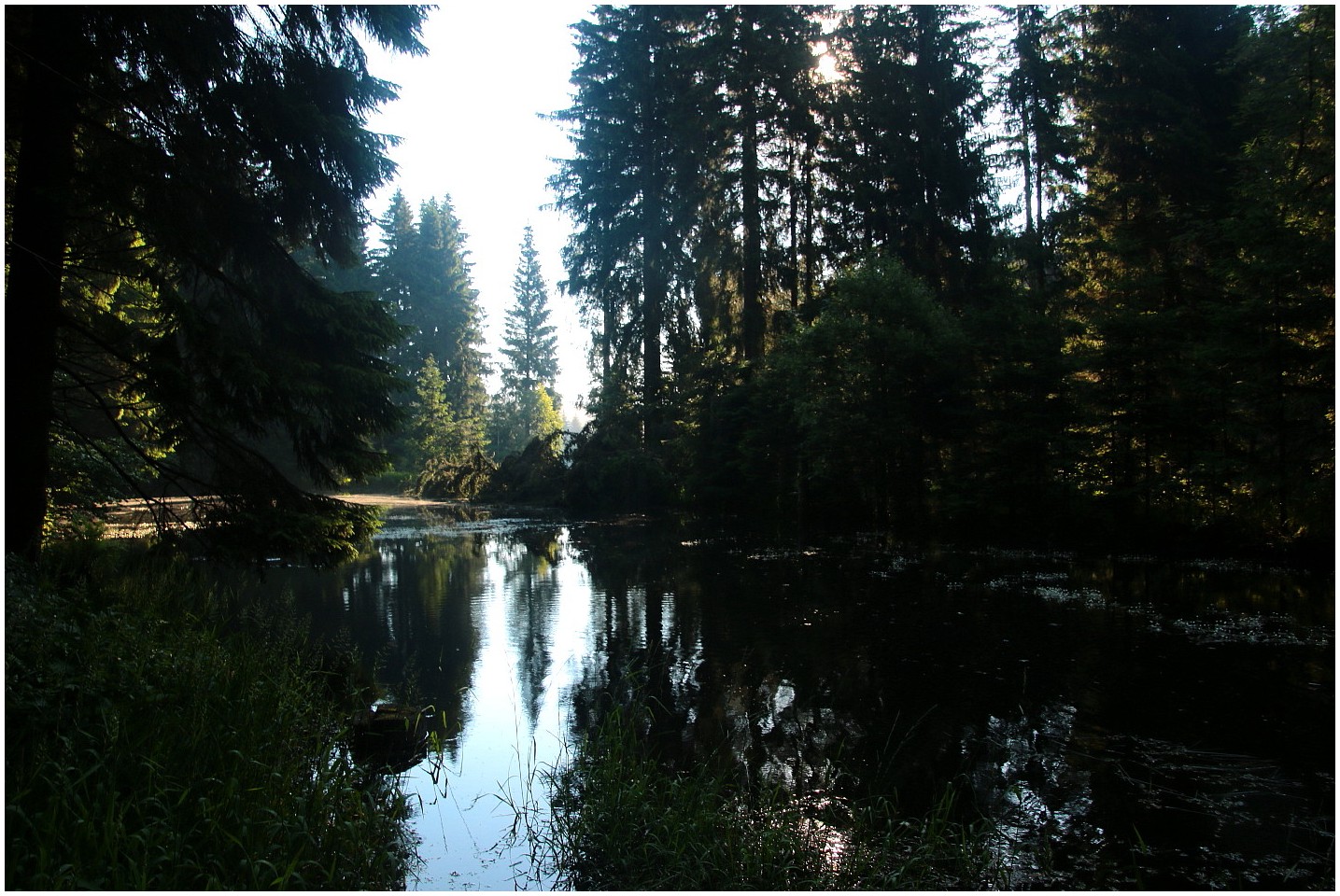 Thüringer Wald (2)