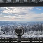 Thüringer Wald