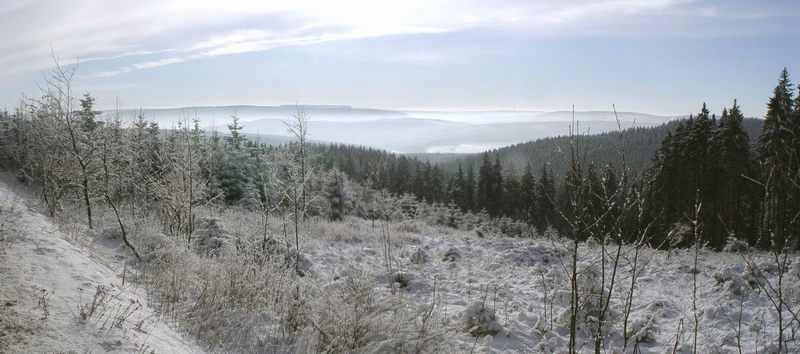 Thüringer Wald