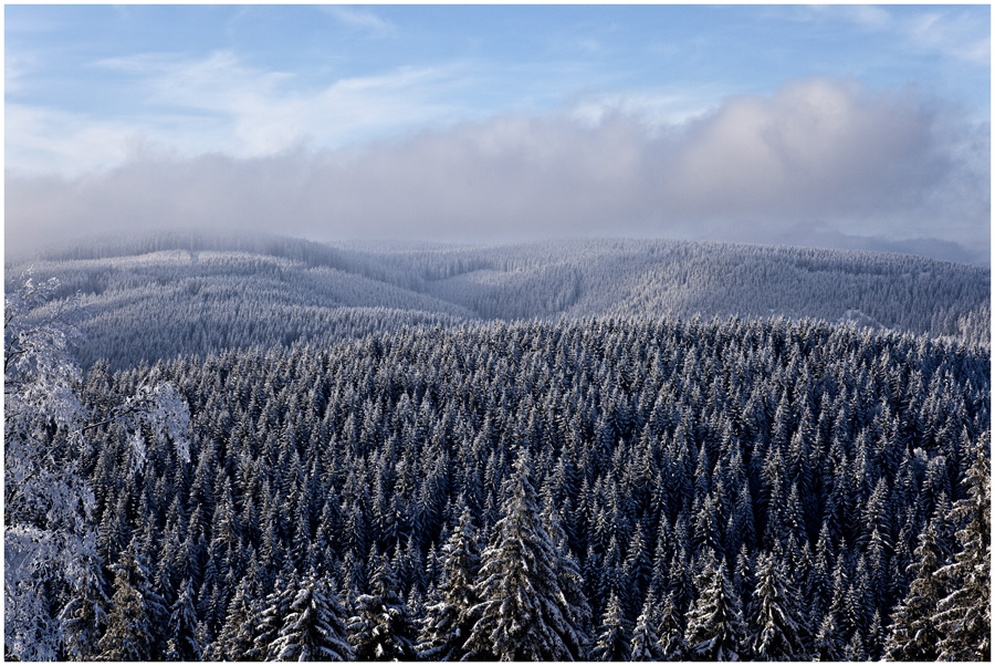 Thüringer Wald