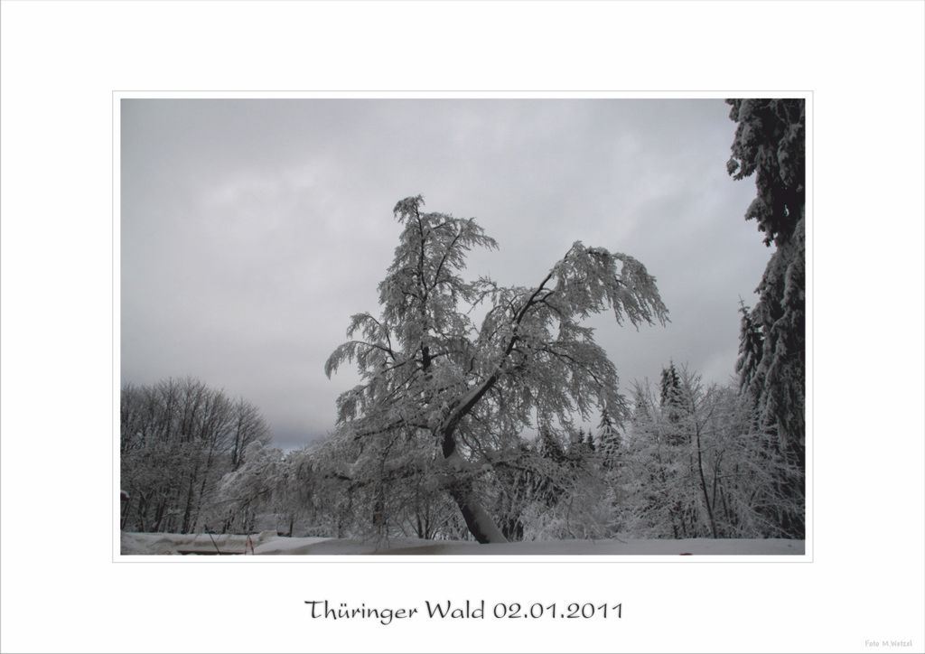 Thüringer Wald