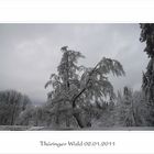 Thüringer Wald