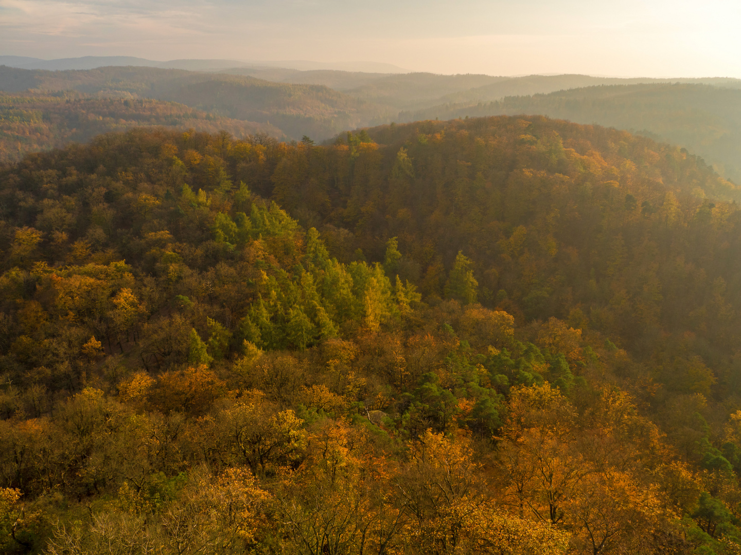 Thüringer Wald