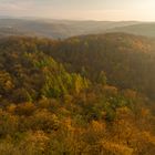 Thüringer Wald