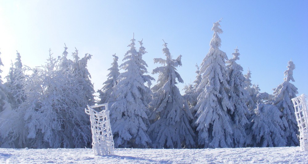 Thüringer Wald