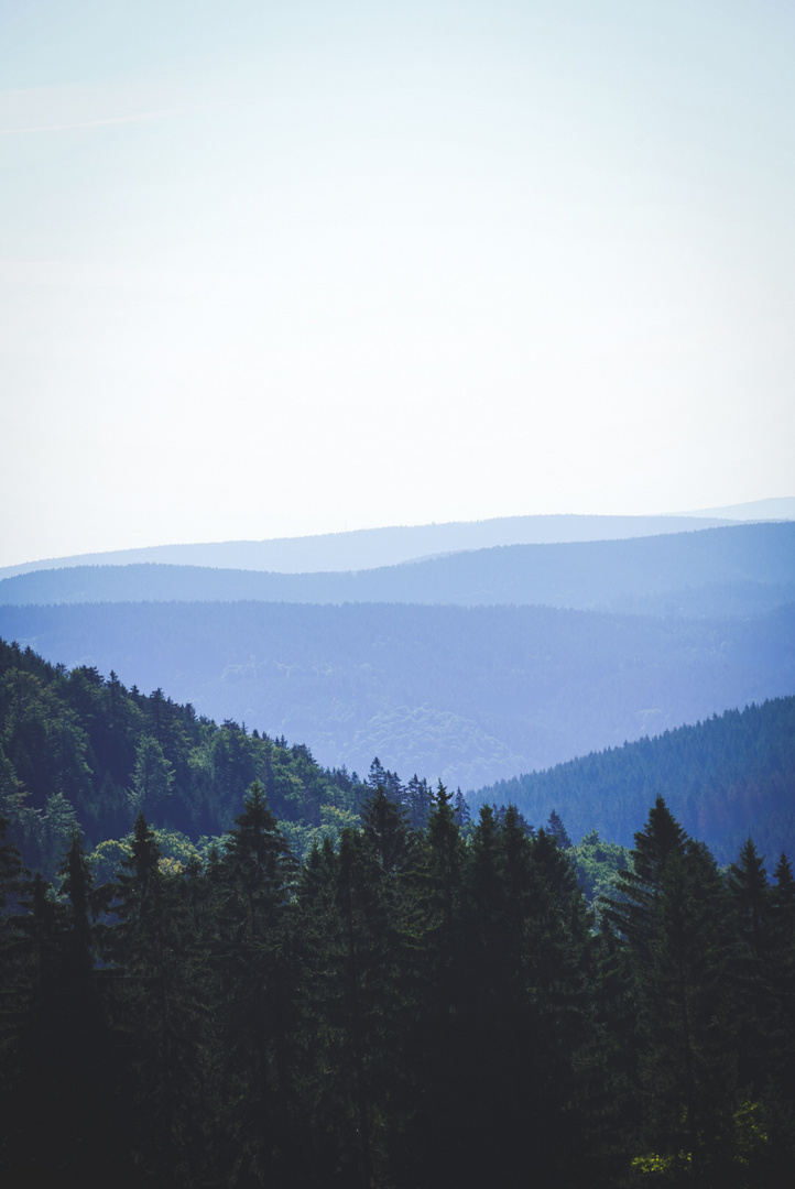 Thüringer Wald 