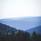 Thüringer Wald 