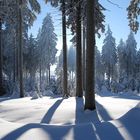 Thüringer Wald