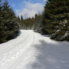 Thüringer Wald