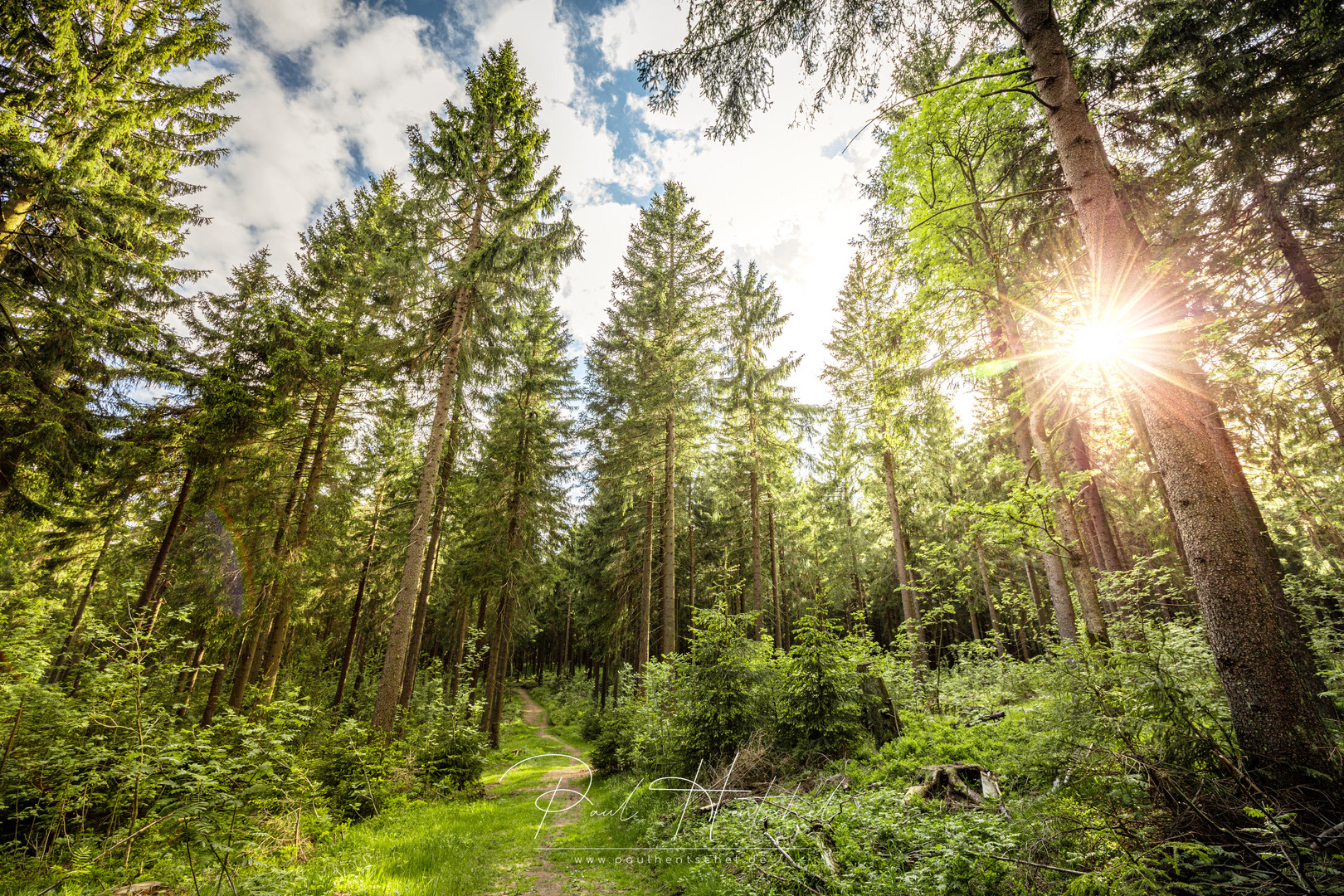 Thüringer Wald bei Oberhof