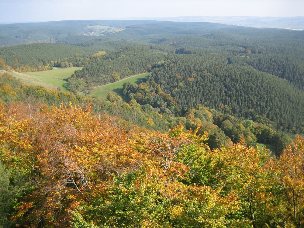 Thüringer Wald bei Rudolstatt