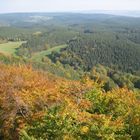 Thüringer Wald bei Rudolstatt