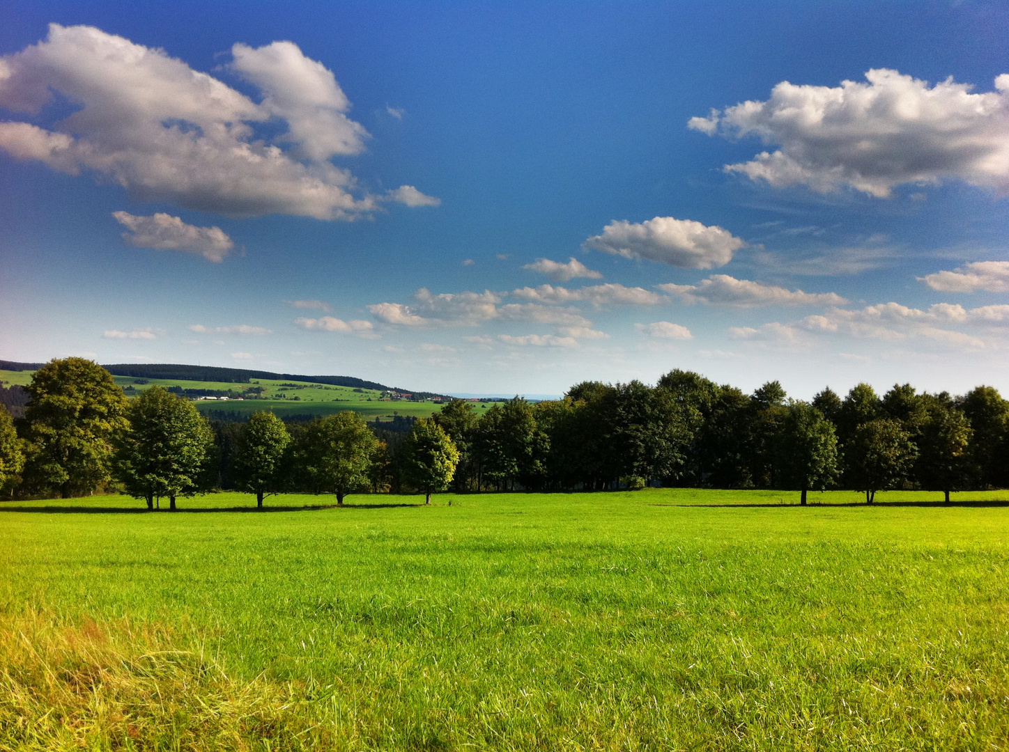 Thüringer Wald bei Schnett