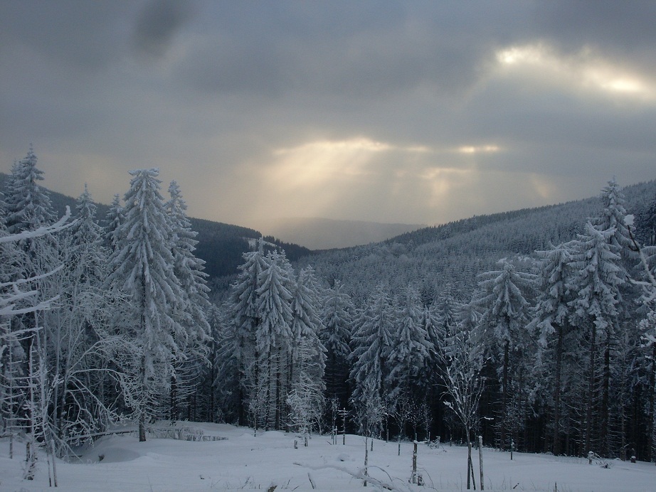 Thüringer Wald