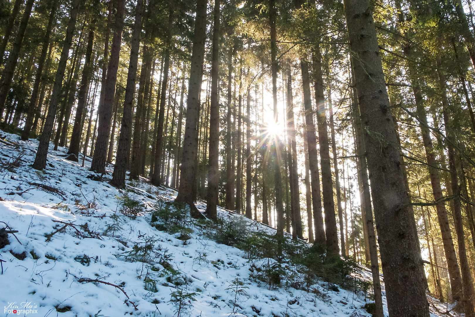 Thüringer Wald