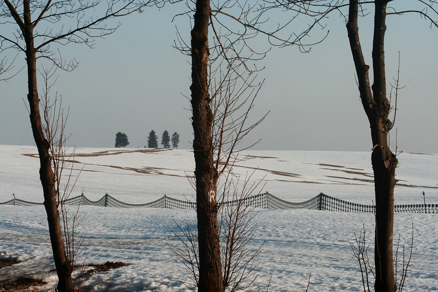 Thüringer Wald