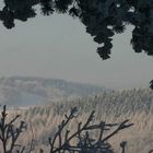 Thüringer Wald in Schnee und Sonne