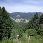 Thüringer Wald mit 28 mm