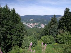 Thüringer Wald mit 28 mm